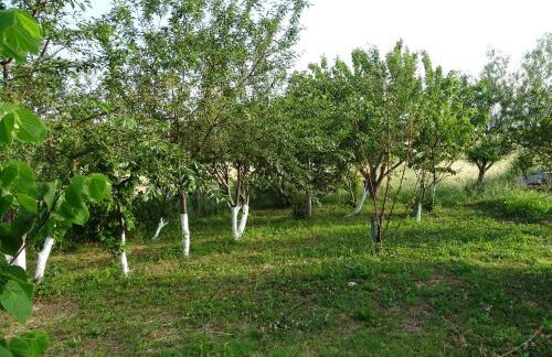 MELENIOS HOUSES - Foto 31