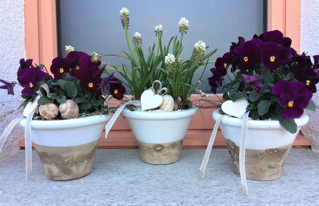 Ferienwohnungen Senda 495D - Foto 7