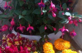 Marketos Apartments - Foto 75