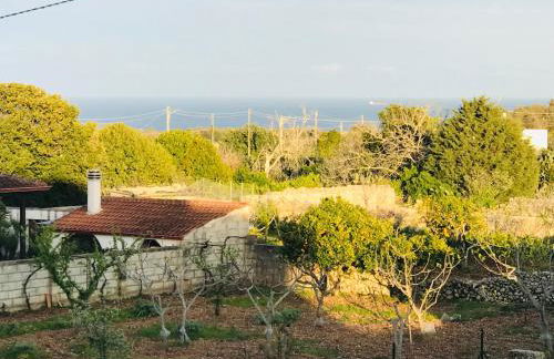 AHeritage 5 - Foto 46