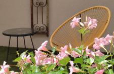 Gîte Le Patio - Photo 16