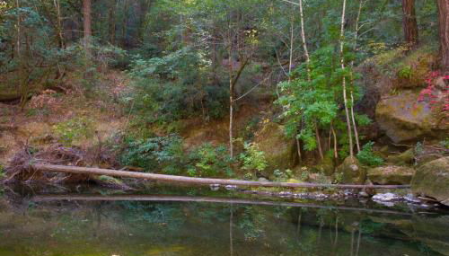 Sequoia Beach Dreamery - Foto 5, Other