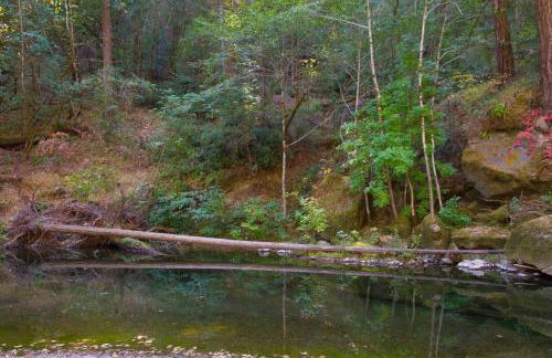 Sequoia Beach Dreamery - Foto 5