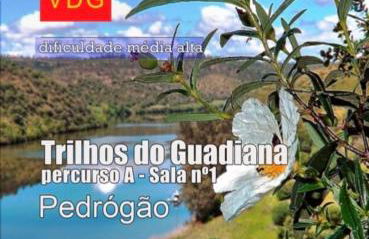 Casa da Matriz - Foto 79