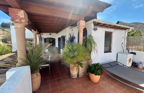 La Washingtonia - Foto 43