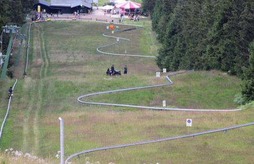 fewogriebelschied - Foto 4