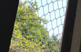 Vai Pra Praia - Enseada Ubatuba - até 6 pessoas - Foto 6