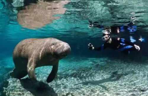 Cozy Home In Beverly Hills near Crystal River - Foto 14