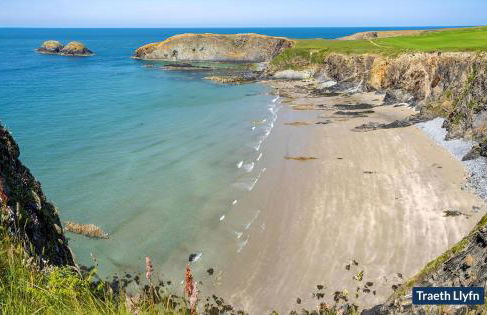 Tri Pysgodyn - Photo 34