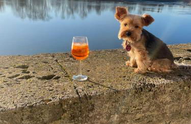 Ferienwohnung Lechraum in Landsberg am Lech - Foto 27