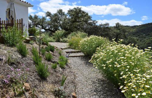 Finca Bravo - Foto 23