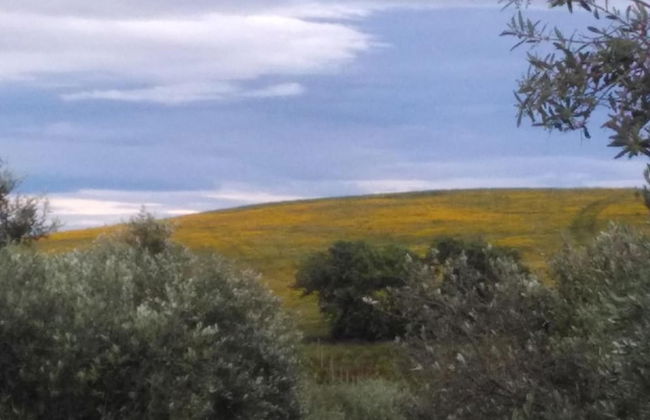 Il Cantiniere - Foto 44