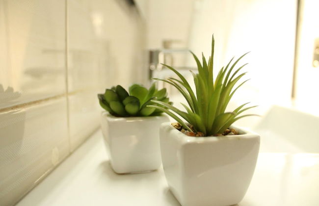 The House of Travelers - Photo 16