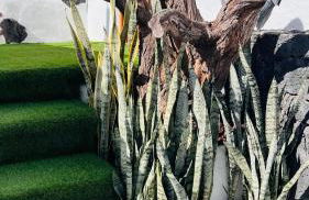 Refugio de Luz y Tranquilidad en Nazaret - Foto 9