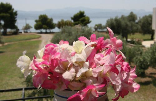 Villa Vlichos - Photo 24