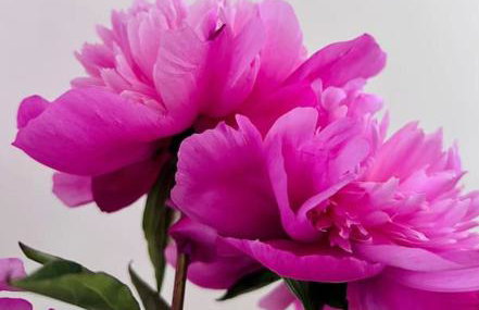 The Hideout - Foto 27