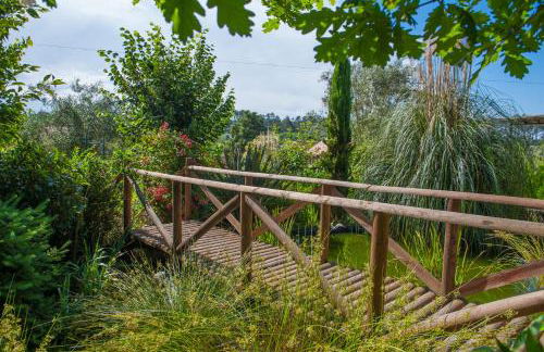 Moinhos do Pisão - Foto 58