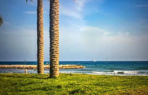 Newly renovated apartment in Málaga - Photo 6