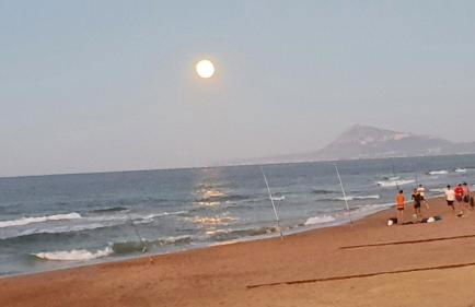 Mirador al mar - Foto 25