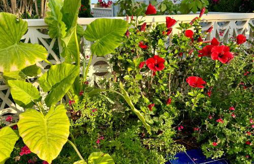 Casita del Toro - Foto 19