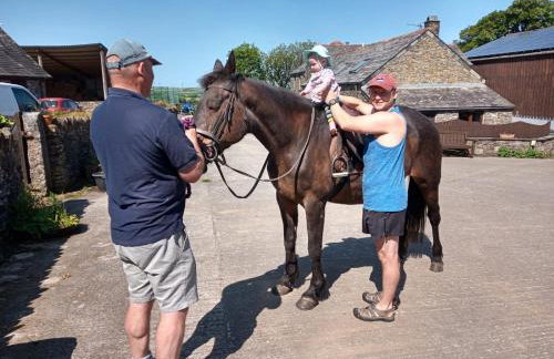 Fentrigan Manor Farm & Holiday Cottages - Foto 18