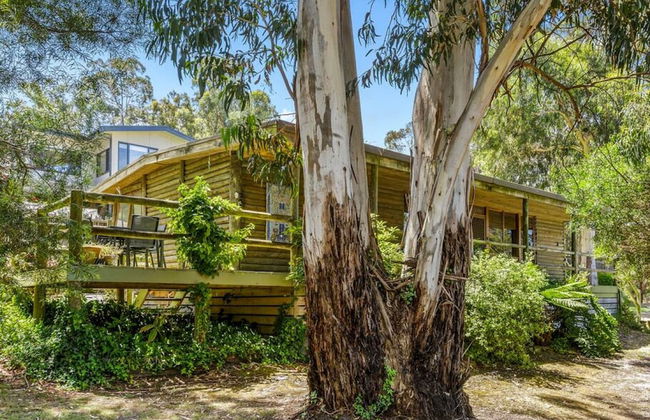 Groovy Log House Lorne Ocean View Log House Pet Friendly Freshly Renovated - Photo 15