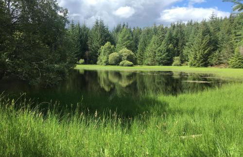 Our Log House in the woods - Photo 52