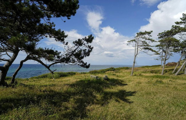 Pet Friendly Holiday Home in Dronningmølle near Sea - Foto 9