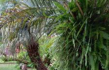 Sobrado com vista profissional do mar - Foto 27