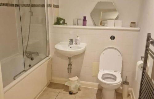 Canary wharf luxury skyline view apartment - Foto 9