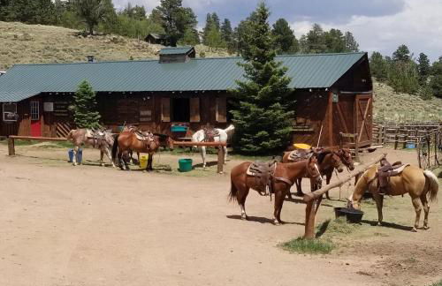 Cabin in the Woods - Foto 30