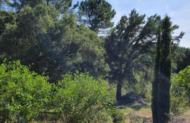 Casinha Laranja - Foto 35