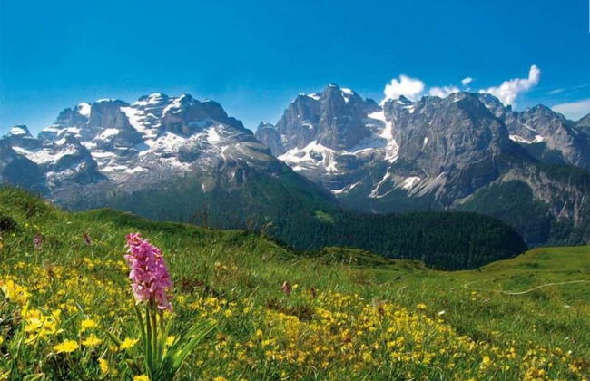 Agritur Sole Levante - Foto 61