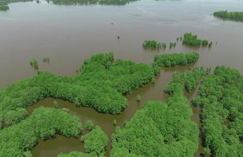 Lakefront Tiny Emerald wkayaks & canoes - Foto 46