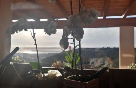 Azienda Agrituristica La Janna di la Faj - Foto 42