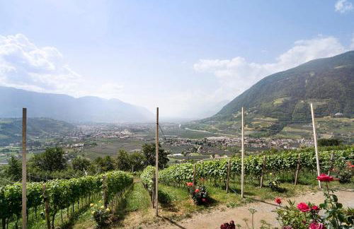 Unterötzbauerhof - Fewo Rosenblick - Foto 18