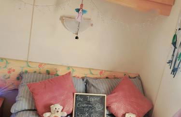 The Topaz Caravan HF12 - Foto 14