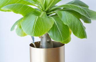 Prestige by Opera - Votre évasion cosy à Toulouse - Centre ville - Wifi - Bureau - Photo 15