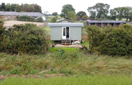 Peaceful Shepherd's Hut next to Horse Field - Foto 18