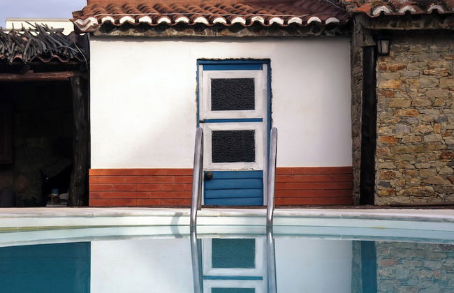 João Jungle - Foto 49