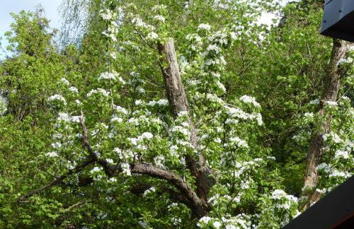 Großstrasse 18 A - Foto 6