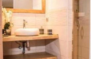 Le pic-vert - Foto 18