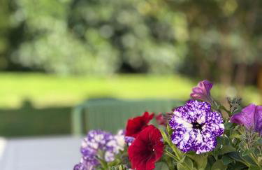 Villa Fanouris - Foto 43