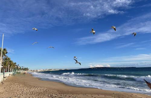 CANNES Appartement Duplex Piscine VUE Mer WIFI PARKING CLIM - Foto 27