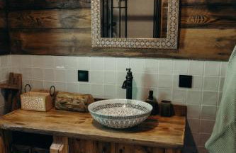 Mech i brzoza - Foto 43