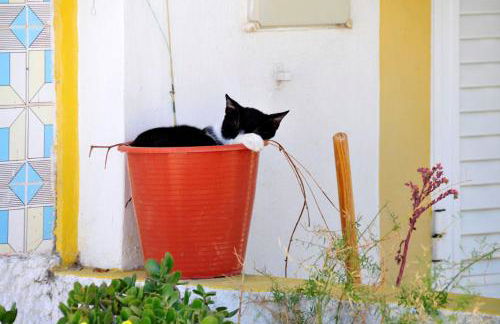 Quaint & Peaceful Barcelos Villa 3 Bedrooms Villa Mycenaean Private Pool - Foto 18