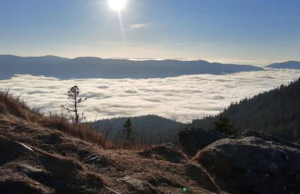 Ferienwohnung Wildgatter - Photo 35