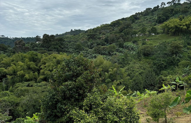 Finca La Macarena by Welttisch - Photo 32