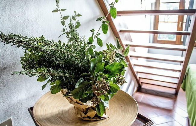 Bio Tenuta di Paganico - I Roggeti - Foto 51