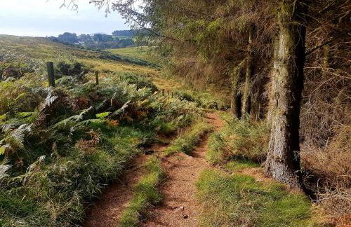 Woolly Hill House - Beautiful Townhouse in the Heart of Wooler - Photo 36